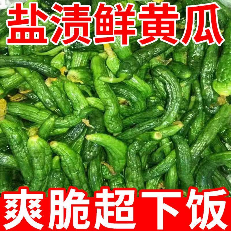 正宗盐渍鲜黄瓜小黄瓜咸菜鲜脆可口农家特色手工自制腌制饭菜新鲜