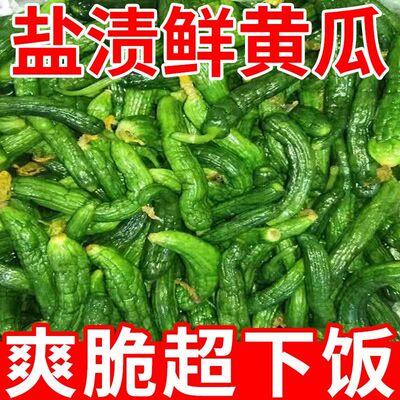 正宗盐渍鲜黄瓜小黄瓜咸菜鲜脆可口农家特色手工自制腌制饭菜新鲜