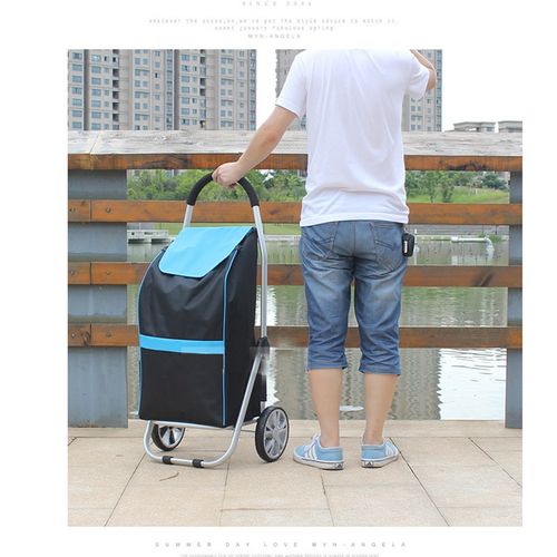 老人购物车买菜车小拉车加大折叠铝合金拉杆便携小推车家用行李车