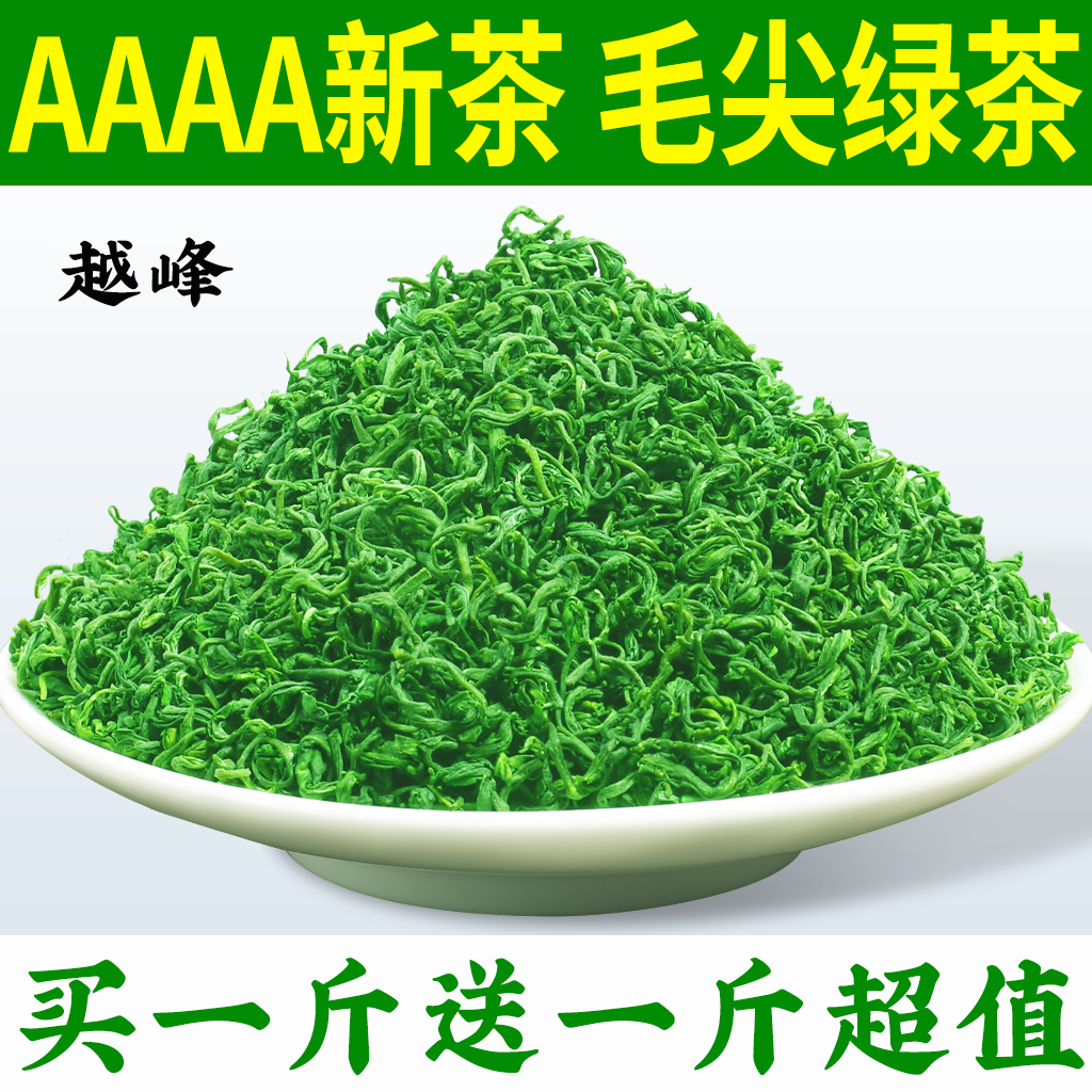 (买一斤送一斤)毛尖绿茶2024新茶叶高山云雾日照充足炒青浓香耐泡