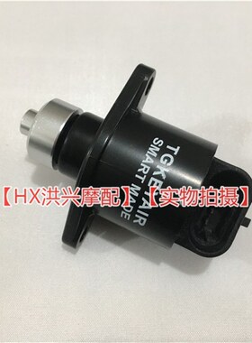 黄龙BJ600GS步进电机TNT欧款BN600节流阀件怠速小马达 BZJ300GS