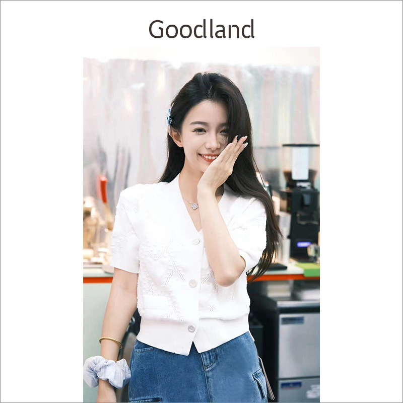 Goodland法式刺绣毛针织衫