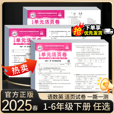 小学王朝霞活页单元卷