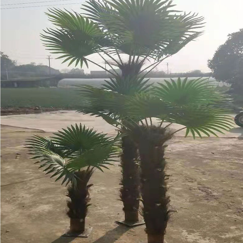 仿真棕榈树大型假树热带仿v真绿植造景室内外装饰大树人字皮棕榈