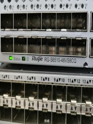 [德峰]RG-S6510-48VS8CQ