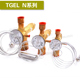 热力膨胀阀TGEL6.5 N系列R410A 丹佛斯 10不带MOTP 067N3155