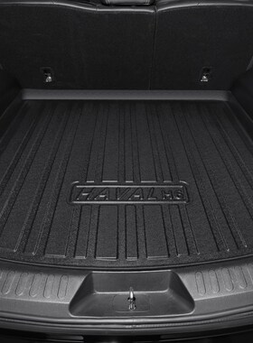 长城哈弗H6大狗欧拉好猫GT坦u克300哈弗M6PLUS专用汽车脚垫地垫TP