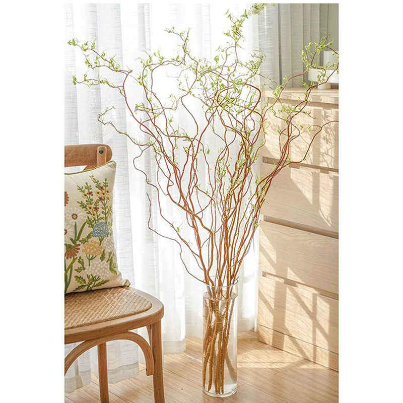 黄金龙柳水培植物好养易活