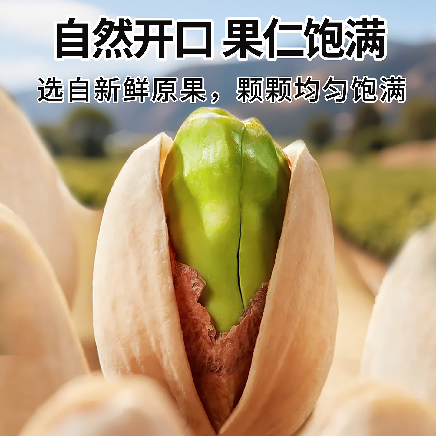 新货大颗粒淡盐味开心果无漂白500g年货坚果儿童休闲零食5斤