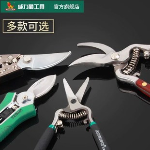威力狮园艺剪刀修枝剪果树粗枝剪SK5钢省力家用修花剪刀园林工具