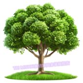 爆款 饰自粘贴柜门遮丑划痕贴 绿树贴纸健康大树贴画客厅玄关墙上装