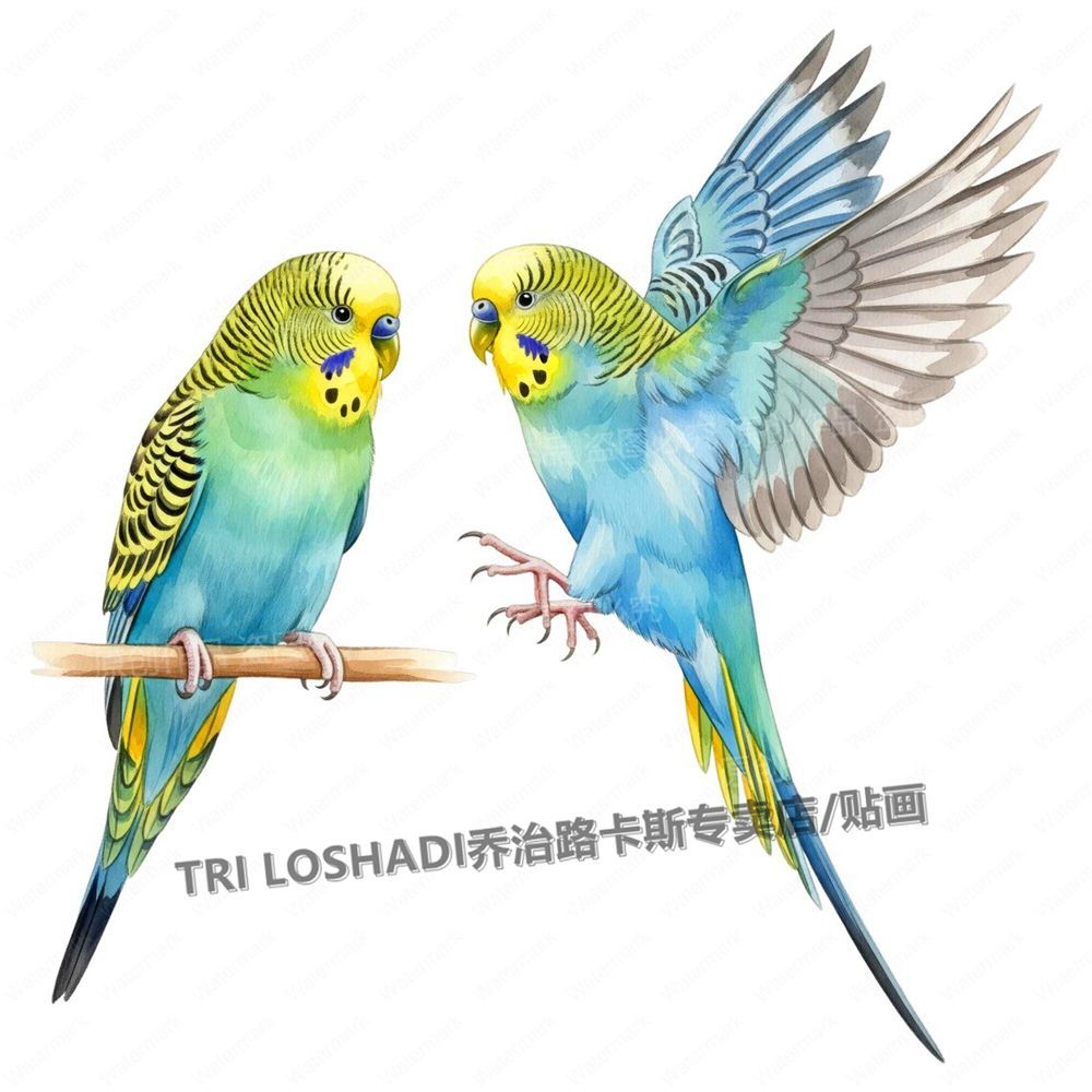 虎皮鹦鹉贴纸出租屋卧室墙上粘贴画装饰客厅门窗防水无痕贴遮丑