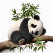 超萌熊猫装 墙贴 饰贴纸可爱创意冰箱贴防水马桶贴家居遮丑补洞新款