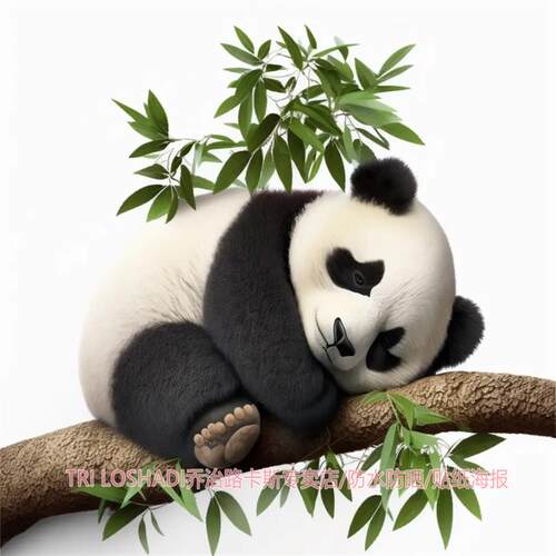 超萌熊猫防水可移除墙贴