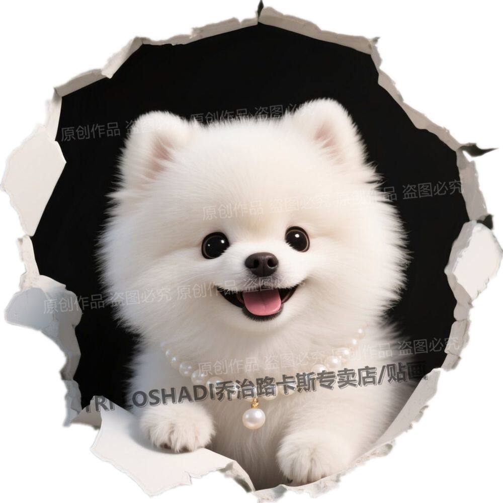可爱博美狗狗自粘防水墙贴遮丑