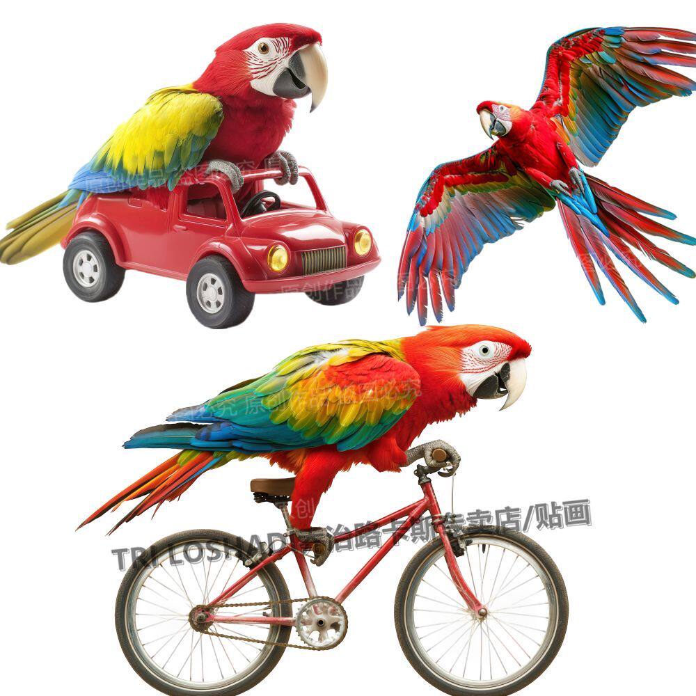 网红金刚鹦鹉贴纸个性搞笑健身小鸟自粘贴墙画防水贴车遮丑门贴