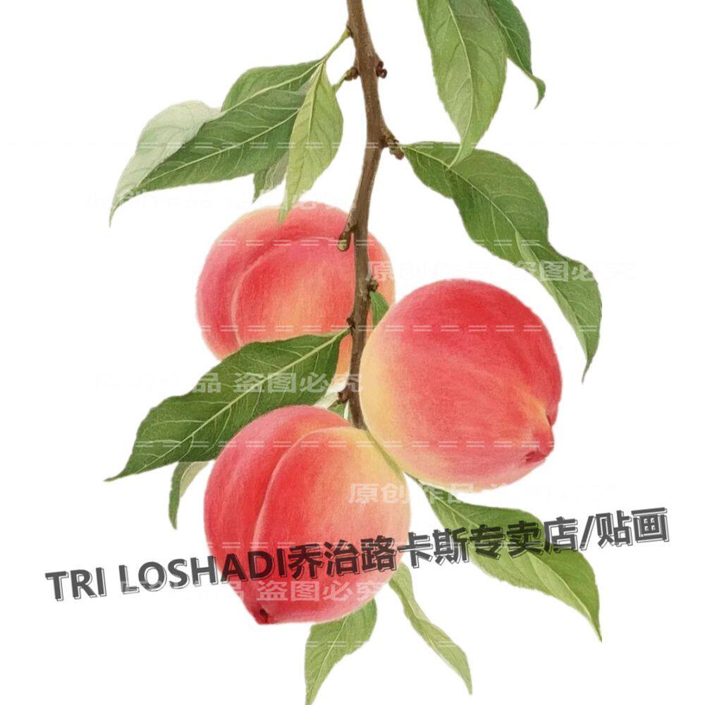 水果贴纸防水自粘厨房贴画水蜜桃子冰箱贴爆款墙上装饰遮丑贴饰