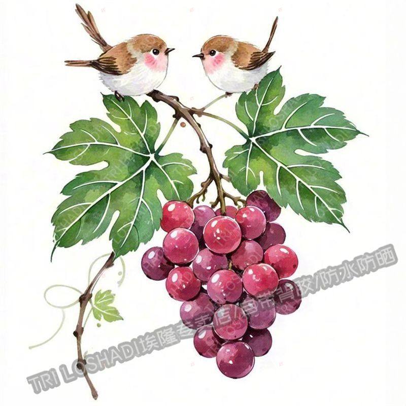 治愈插画小胖鸟和葡萄贴画厨房冰箱瓷砖水果贴画墙上门窗贴画自粘
