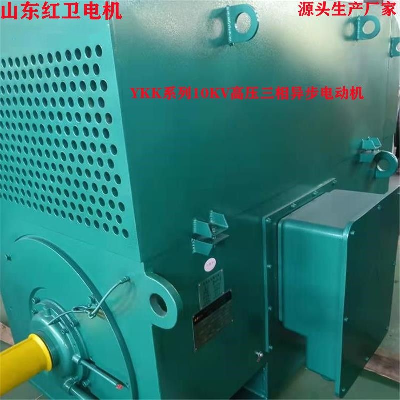 山东淄博厂家直供 YKK450-4/315KW YKK系列高压三相异步电动机