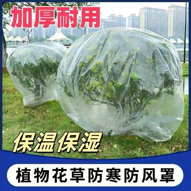 绿植物防冻保温袋塑料膜花卉盆栽过冬保护罩树木防寒布防尘袋透明,鲜花速递/花卉仿真/绿植园艺,其它园艺用品,淘宝优惠券,粉丝福利购,淘宝优惠卷