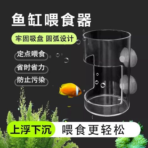 鱼缸喂食器吸盘设计防漂散