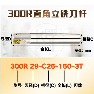 TAP300R立铣刀R0.8直角刀杆非标类1135刀杆CNC数控刀杆铣床刀杆