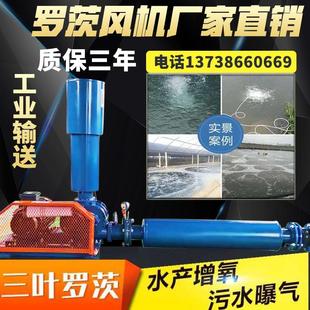 高压曝气管道大型污水处理 三叶罗茨风机增氧机大功率 鱼塘增氧泵