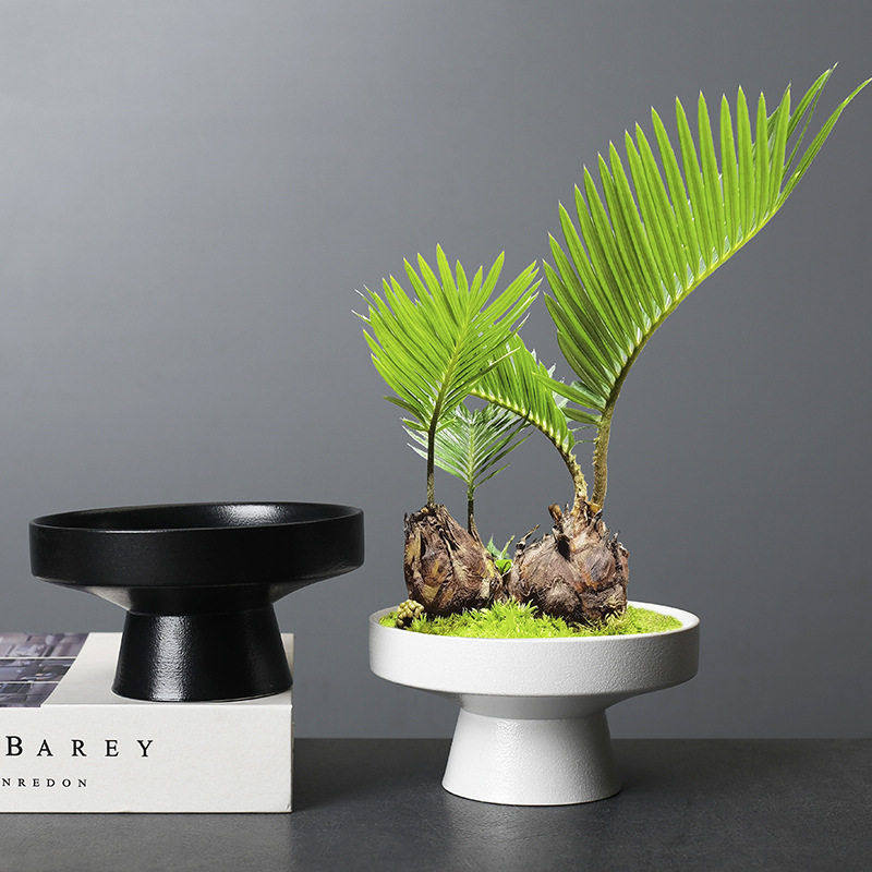 跨境六月雪文竹小绿植陶瓷花盆造景客厅桌面复古禅意剑山插花器皿,鲜花速递/花卉仿真/绿植园艺,花托/移动托盘,淘宝优惠券,粉丝福利购,淘宝优惠卷