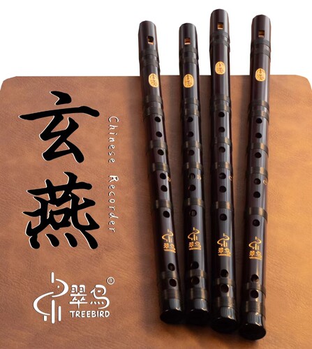 翠鸟玄燕中式竖笛专业甲辰民乐