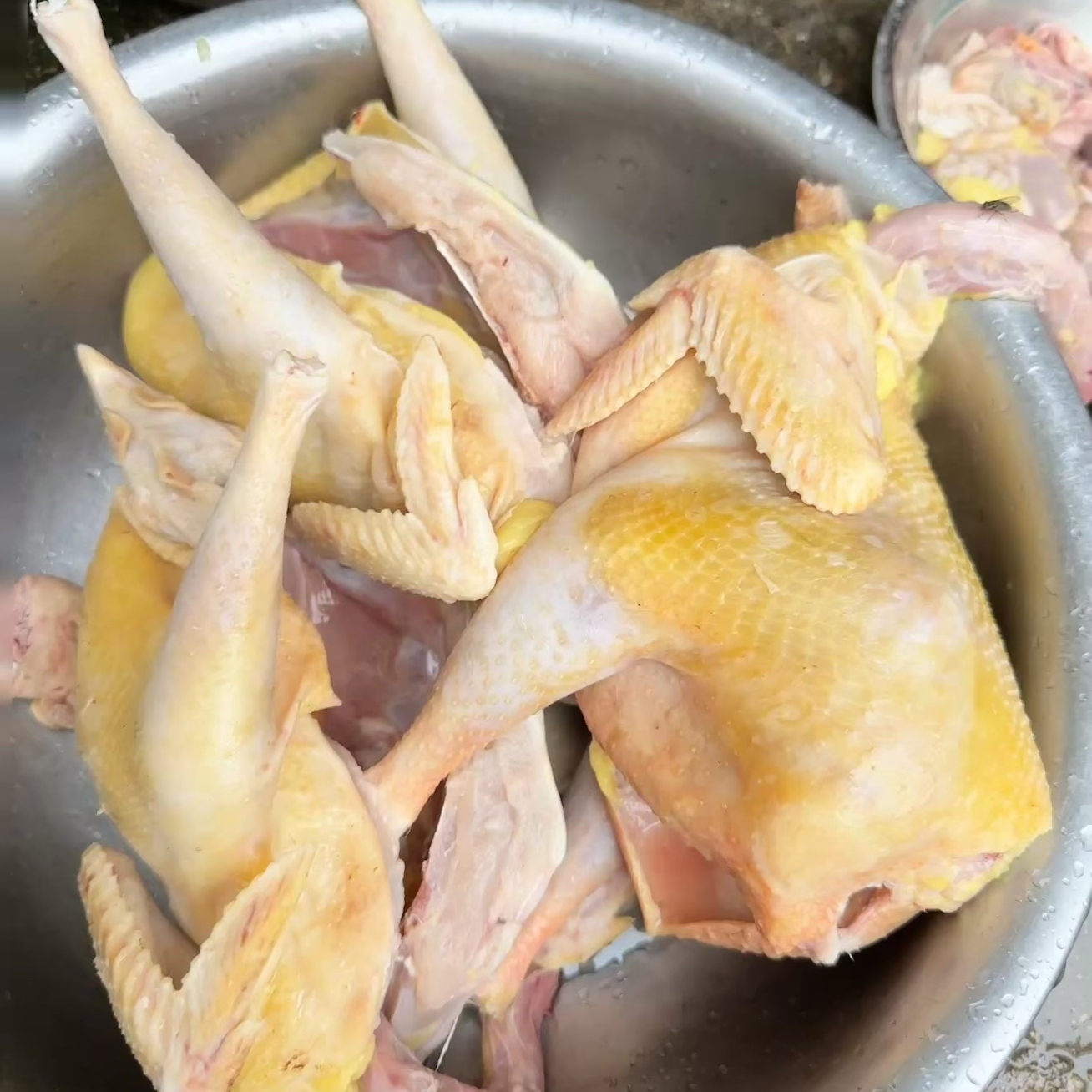 正宗衡阳农家自养茶油炒鸡
