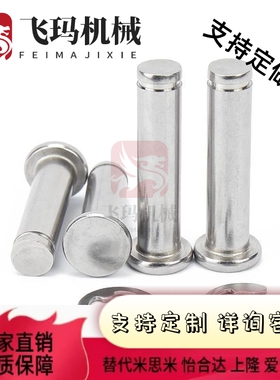 替换米斯米PHCCG SHCDG SHCCG SHCCGH3 4 5 6 8 10 HCCGH20铰链销