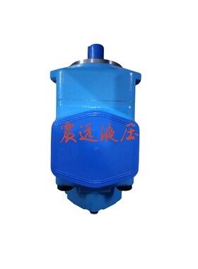 液压柱塞泵油泵4520V42A5x1AA 22RR齿轮泵工业机械泵 质保