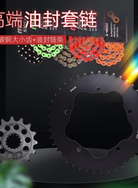 适配杜卡迪摩托车Hypermotard骇客950 19-24S大小链轮油封链条套