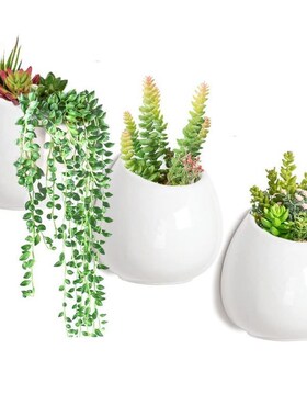 壁挂式支架简约现代白色陶瓷花盆套3植物花盆带Y挂钩室内装饰