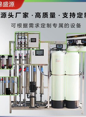 工业商用0.5 1吨ROq反渗透纯水设备 EDI水处理设备 去离子净水设