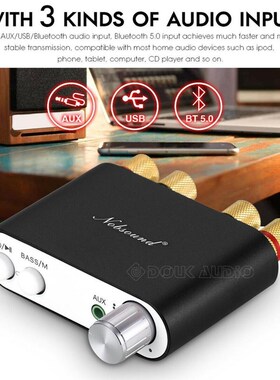 2020 Lastest Nobsound TPA3116 Bluetooth 5M.0 Mini Digital Am