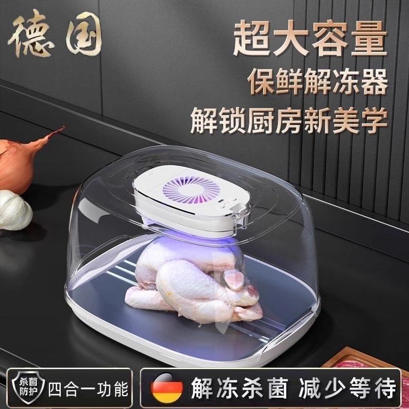 德国解冻器神器保鲜快速家用食z物解冻机商用食品肉化冻盘牛排恒
