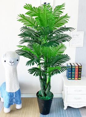 仿真植物盆景葵树散尾葵落地