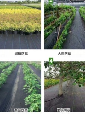 防草布除草布果园农用新型生态保湿透水抗老化加厚遮草布地钉地膜