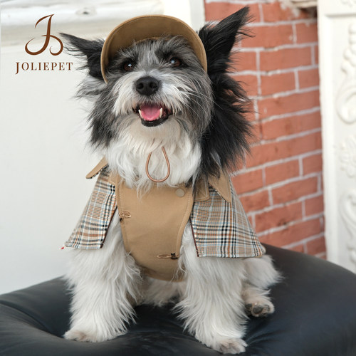 Joliepet福尔摩斯棒球帽猫咪小狗