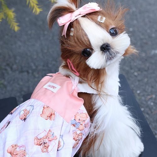 JOLIE猫咪小狗裙子可定制