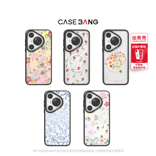 CASEBANG可拆卸出奇磁吸手机壳