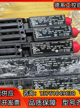 施迈赛SCHMERS安全门开关 AZM 161SK-121