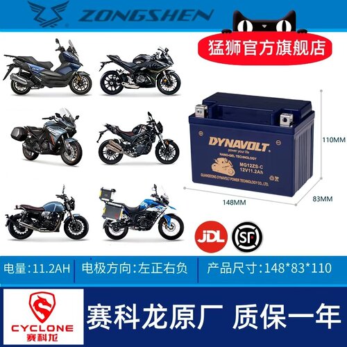 宗申赛科龙RX3SRX1RX4电瓶