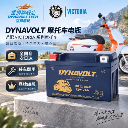 猛狮原厂蓄电池维多利亚150si 250 300 Simplee V70复古踏板电瓶