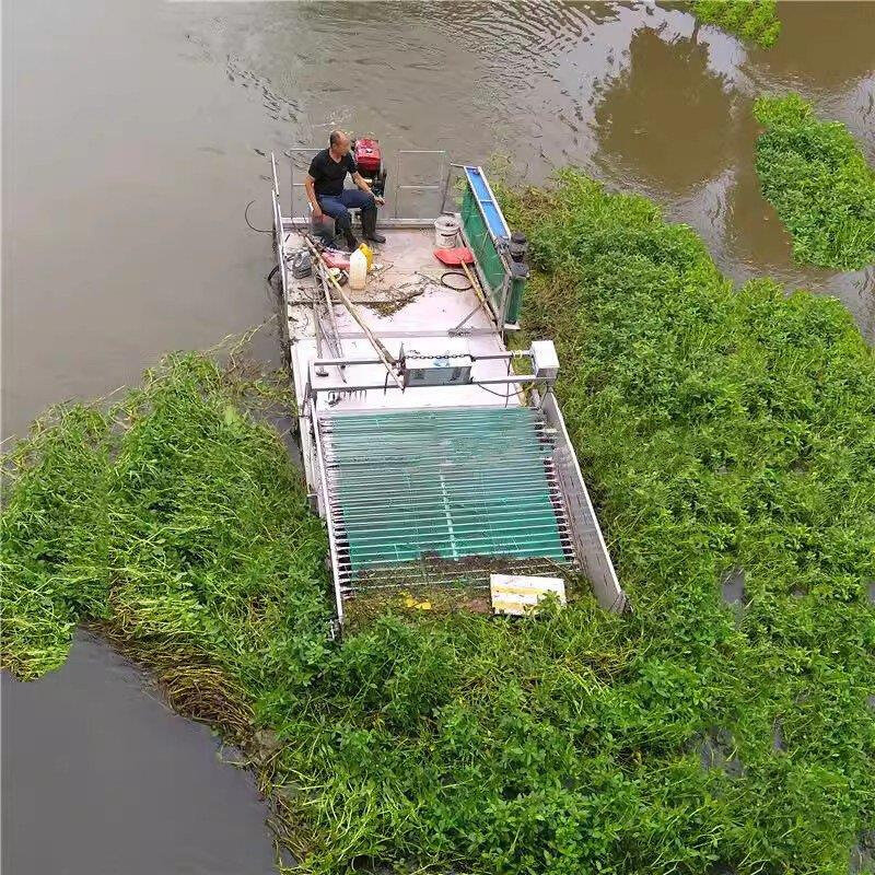 水草收割机虾塘伊乐藻割草船小型河道清理水下剪草机水葫芦打捞船
