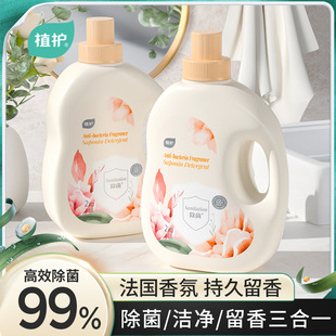 2家庭装 植护香水洗衣液量批花香味持久留2KG 8斤洗衣皂液厂家批发