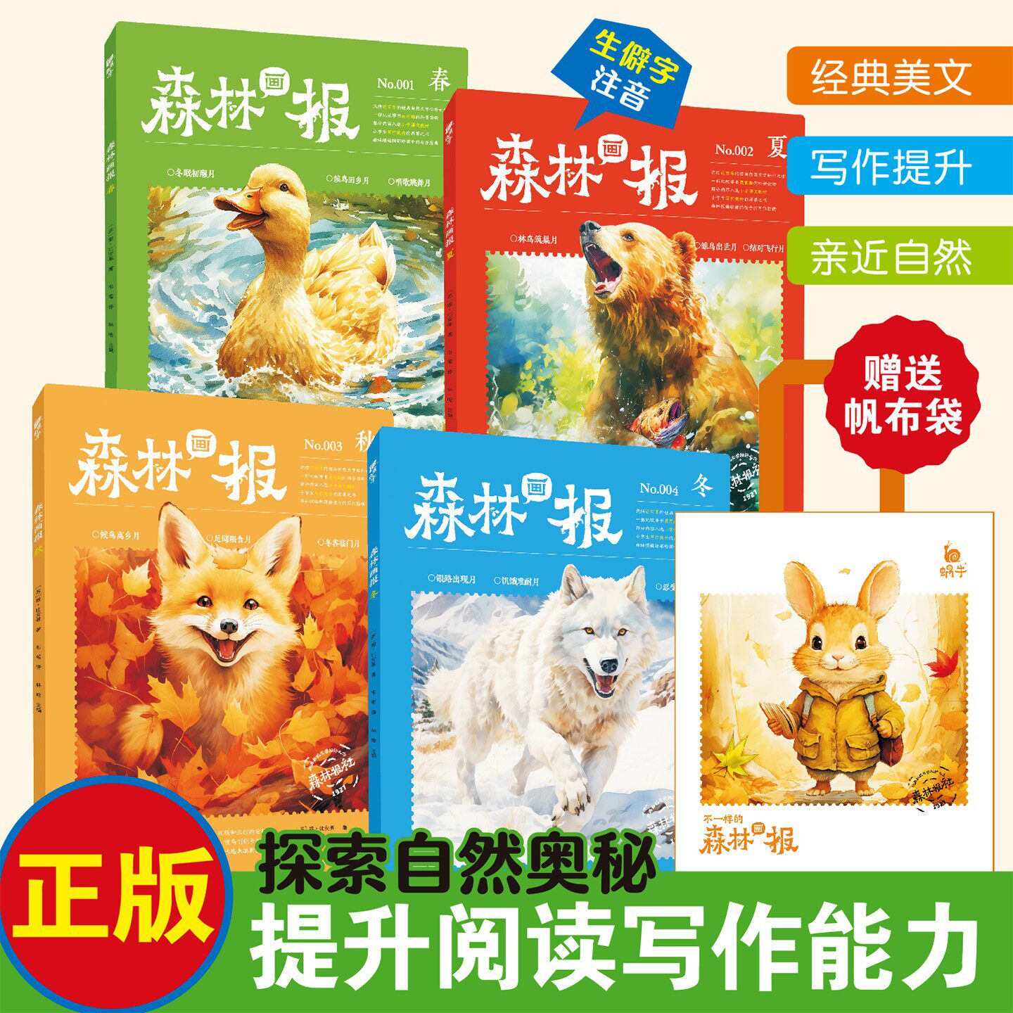 森林画报春夏秋冬全四册大开本森林报彩色版科普百科故事书二三四五年级课外书必读小学生课外阅读书籍好词好句儿童读物6-12岁绘本