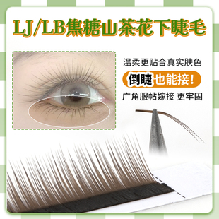 LB广角下睫毛焦糖色山茶花款LJ倒睫可用柔软不散根温柔显白美睫店