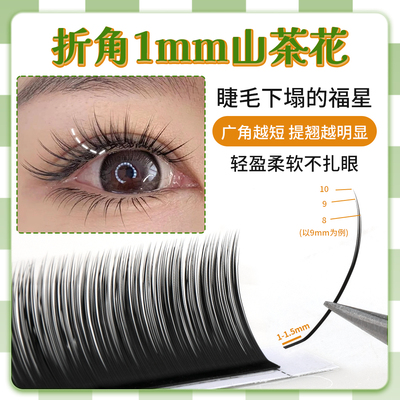 升级L型短根1mm漫画广角山茶花
